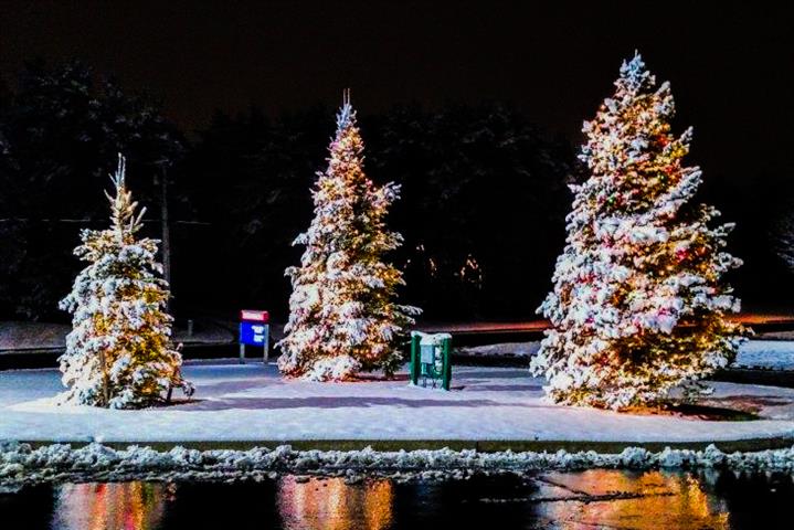 https://www.brmh.net/sites/brmh.net/assets/images/default/LoveLight-Trees-edited-Small.jpg